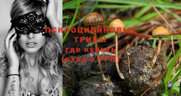 гашишное масло Липки